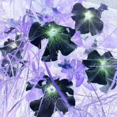 Beatroot of all evil - avant gardener in the mix 0213