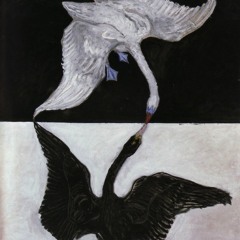 The Swan - Saint Saens