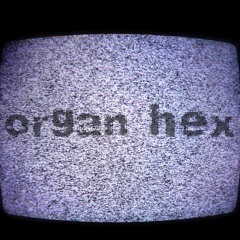 ORGAN HEX - Velvet Snakes
