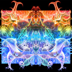 Mind Sequence - From End To Beginning