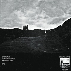 REV017: EP3 by Erstlaub / Bearded Seals / Raining Leaf