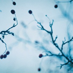 yiruma:::river flows in you
