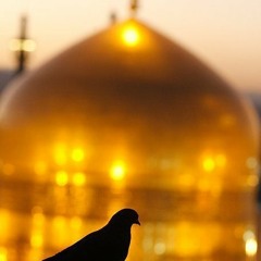 Imam reza يا على بن موسى الرضا