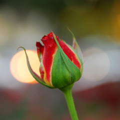 kuch na kaho