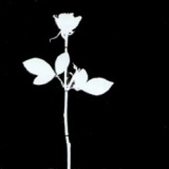 TK - DM-TRIBUTE - TO HAVE AND TO HOLD - 2013