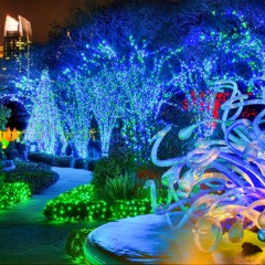 2013 DJ EV0LVED Holiday Nights Mix! (LIVE)