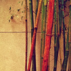 Oblique Industries - Red Bamboo (SNIPPET)