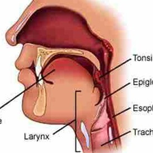 Thoracic Appointment - Feb 2013 at West Middlesex University Hospital