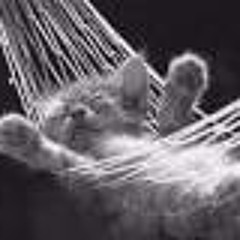 MyAmy-Ich bin morgens immer muede(testversion)wav