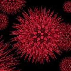 KitSch 2.0 & 3nkii 'Virus' (Maurizio Gubellini Remix) DJ Chuck-E booted edit