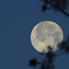 Lulabye for the child  that stares at the moon