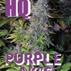 HQ-PurpLeAK's