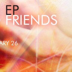Feel Me (PrototypeRaptor Remix) - The Two Friends ft. Priyanka Atreya