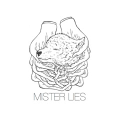MISTER LIES - Ashore