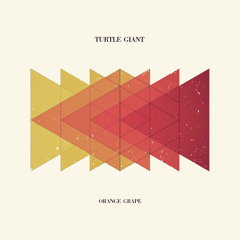 Turtle Giant - Orange Grape