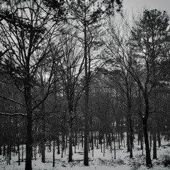 Improv Version of Sugar We're Going Down