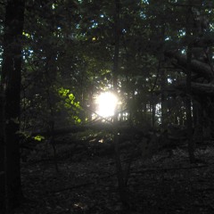 Of Sorrow and Light [Deploy Your Senses 2013]