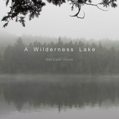 A Wilderness Lake, Album sample