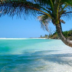 Fleet Foxes - Mykonos (Remix)