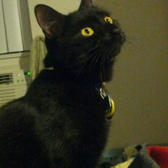 As Long As You're Happy