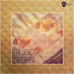 9. Lex - Music is life