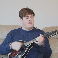 The Banjolin Song - Mumford and Sons (Adam Ford Mandolin Cover)