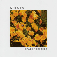 Krista - Space Tom Test