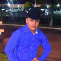 Los Indomables de Cedral-No Valgo La Pena.mp3