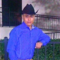 Por Tu Felicidad-Los Indomables De Cedral_2011_.mp3