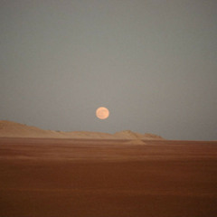 (Beverlay)Body language