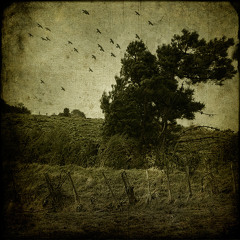 Guy J  FT Jonas Steur - Cold Lamur (Natuka & Tako remix)