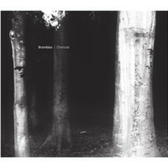 Brambles-Salt Photographs