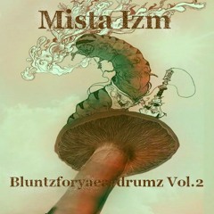 Bluntzforyaeardrumz Vol.2