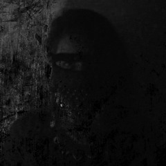 FVNERALS - The Woods