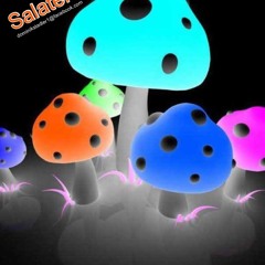 SalaTekK GanG-bÄäÄm allein zu haus