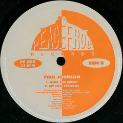 Paul Johnson - Hear the music ( Davið & Hjalti edit )