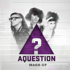 Bass Makes That Bitch Come Into My Head (Kimbra, Opiuo, Skrillex ft. Sirah - AQUESTION Mashup)