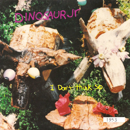 Dinosaur Jr. - I dont think so (acoustic cover)