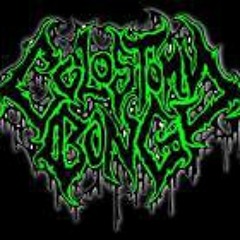 rock u like a carradine/ballad of the man who kung fu gripped himself