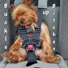 Pitchcraft - represent (unmastered....free download)