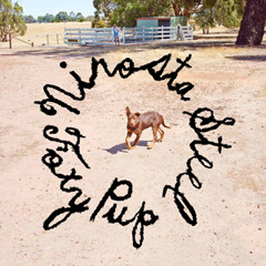 Nirosta Steel - Foxy Pup