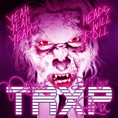 Yeah Yeah Yeahs - Heads Will Roll (B Major 'Project TRXP Remix')... FREE DL!
