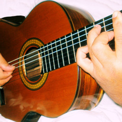 Heitor Villa Lobos Etude 1