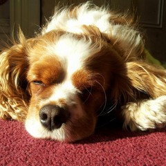 1993 OLDSKOOL DRUM AND BASS MIX DJ RIK.E