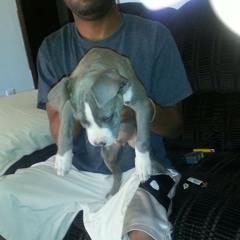 I Say Yeahh 2013 JRock