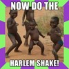 Harlem Shakes (DL n Description)