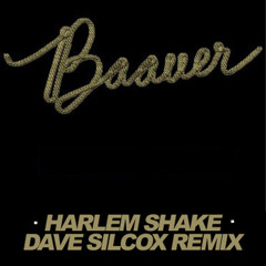 Baauer - Harlem Shake (Dave Silcox Remix)