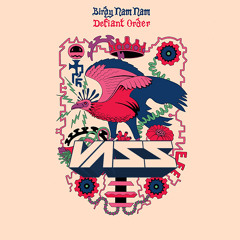 Birdy Nam Nam - Defiant Order (Vass Remix)