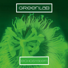 GREENLAB - 4TH DIMENSION - L.P. ECHOSYSTEM - IRMA RECORDS - 2008
