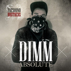 FATSOUND BROTHERS - ABSOLUTE(PROD BY DIMM feat SLAMDUNK)